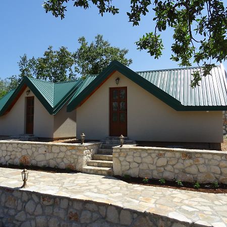 Apartmani Vinici Danilovgrad Bagian luar foto